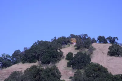 DSC_2061 (Large).JPG